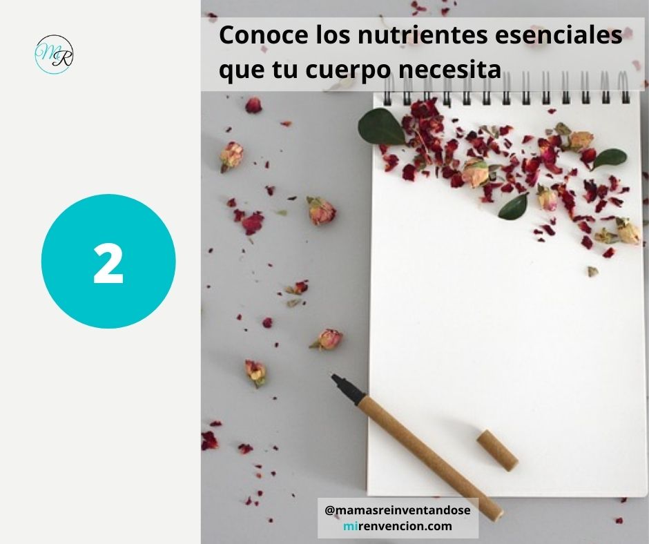 Conoce los nutrientes que necesitas